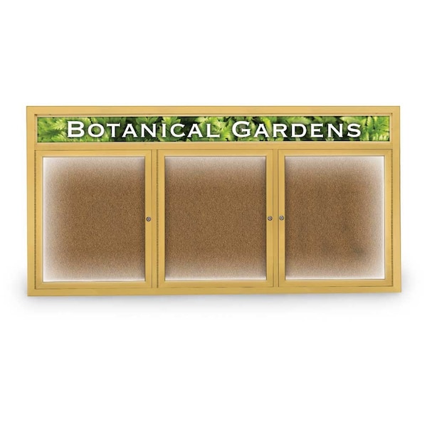 Open Faced Traditional Corkboard, 72x36"